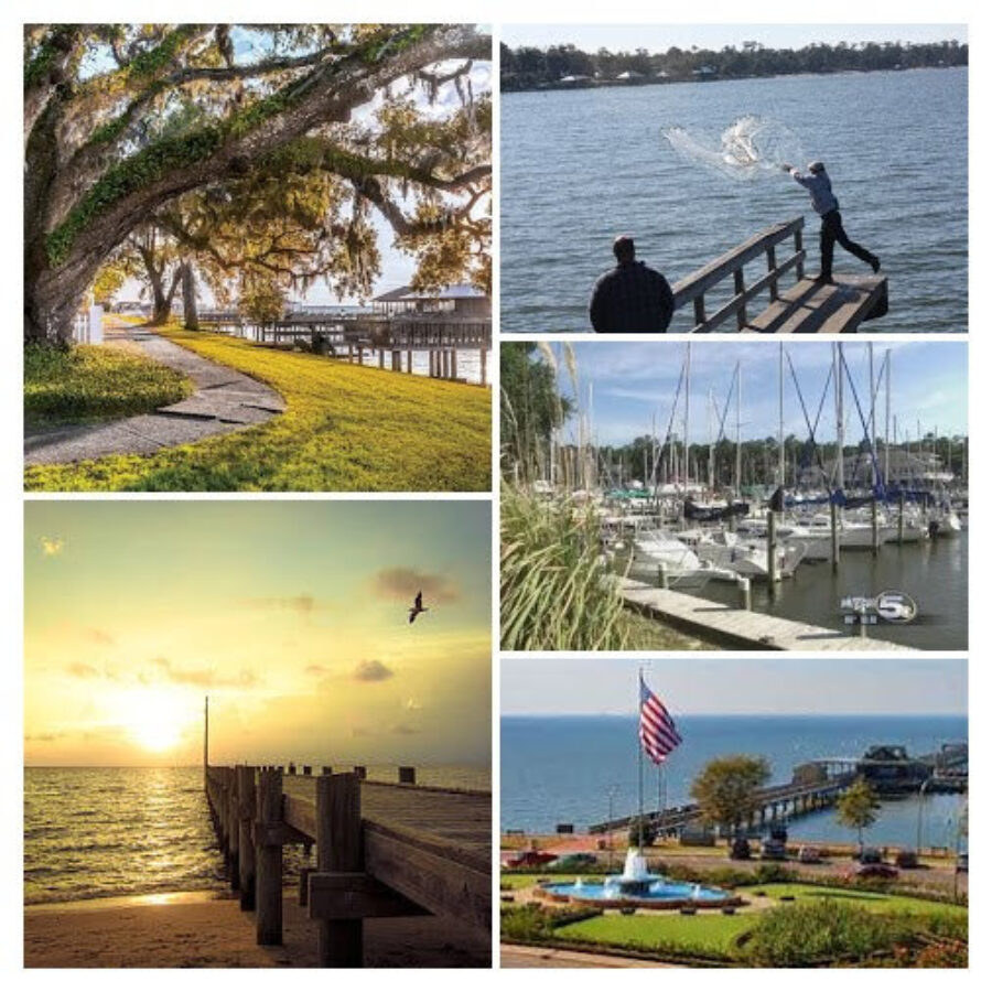 Utopia at the Bay COLLAGE